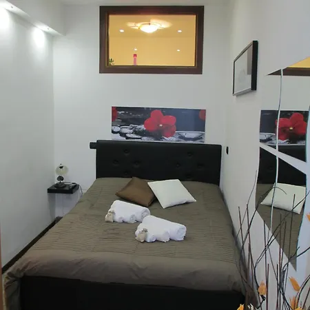 Tulipano Rosa * Spoleto