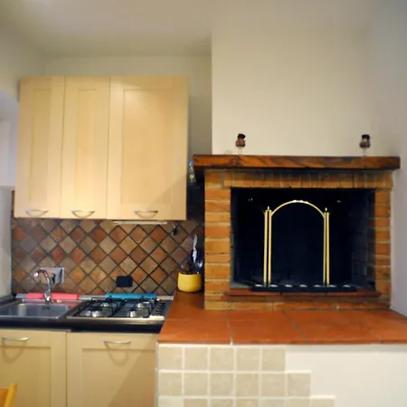 Tulipano Rosa Spoleto