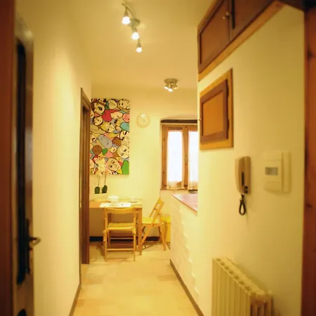 Tulipano Rosa * Spoleto