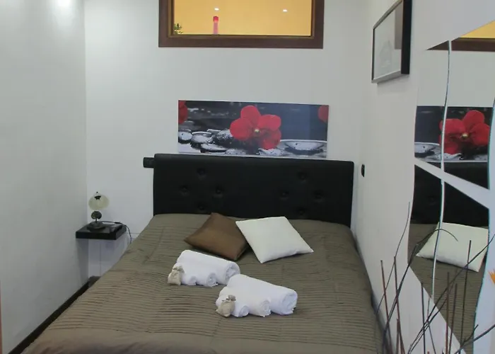 Tulipano Rosa * Spoleto