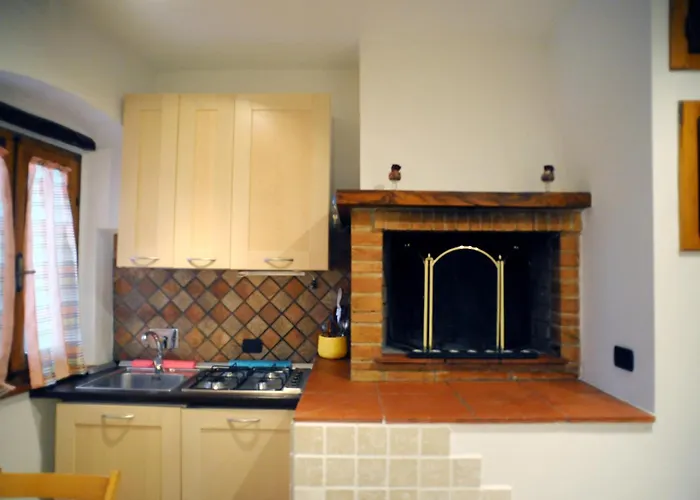 Tulipano Rosa Spoleto